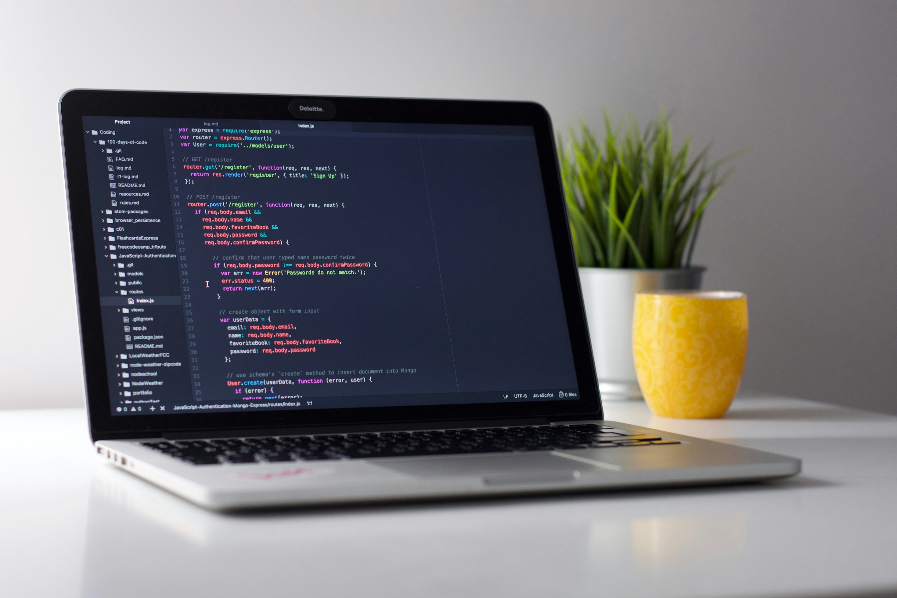 Software Development and Coding